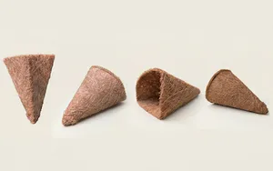 Wall Pot - Cone Shaped