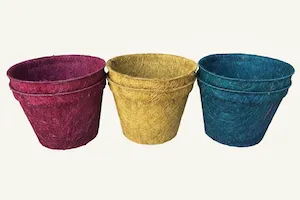 Color pot